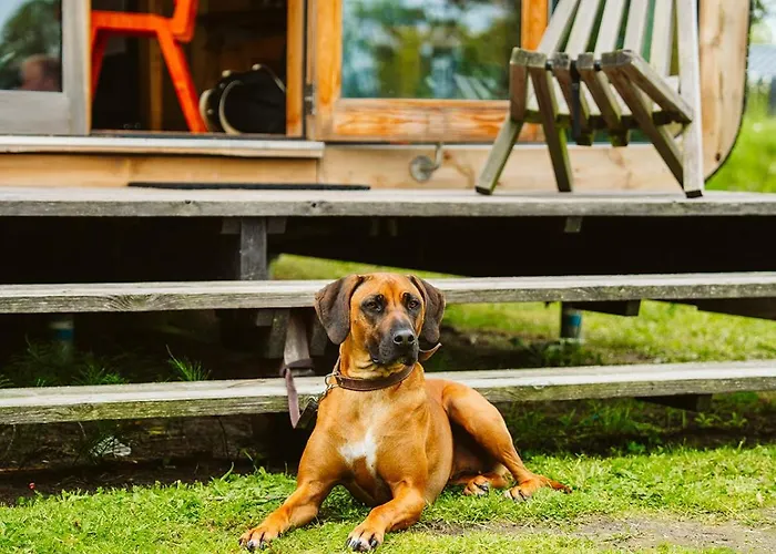 Camping De Klepperstee