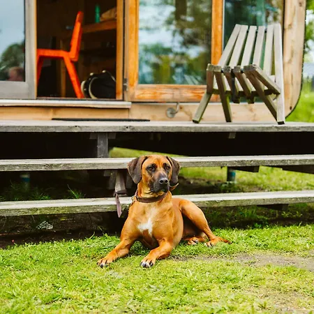 Kamp alanı De Klepperstee